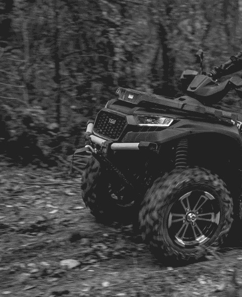 Inchiriere grup / sejur